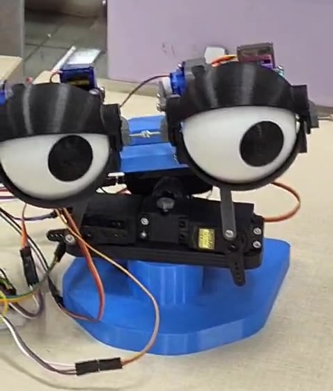 robot with two googly eyes on servos